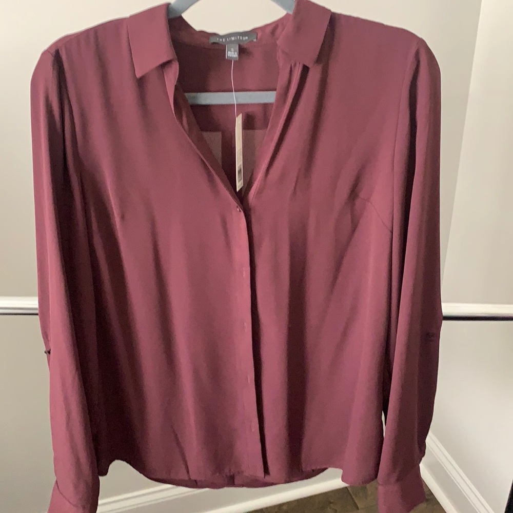 The Limited blouse